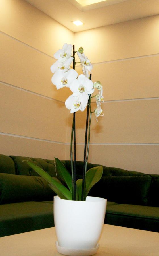 Apartment Jasmine 2 Belgrad Dış mekan fotoğraf